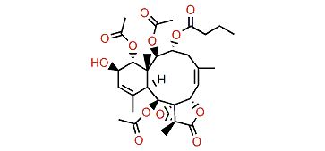 Stecholide I